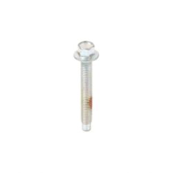 Briggs & Stratton 697890 Screw 