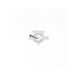 Briggs & Stratton 698425 Screw 