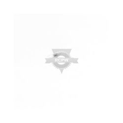 Briggs & Stratton 698726 Governor Spring 