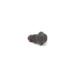 Briggs & Stratton 699201 Screw 