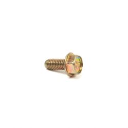 Briggs & Stratton 699230 Screw 