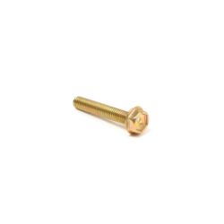 Briggs & Stratton 699772 Screw 