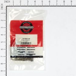 Briggs & Stratton 7010941YP Chain Case - BRS 7010941YP