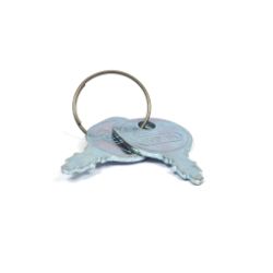 Briggs & Stratton 7011138YP Ignition Key Pair 