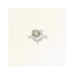 Briggs & Stratton 710083MA Flat Washer 