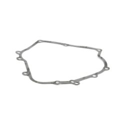 Briggs & Stratton 710216 Crankcase Gasket 