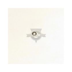 Briggs & Stratton 711936MA Spring .31 ID H Washer 