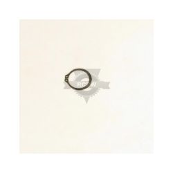 Briggs & Stratton 73811MA 1.116 X .05 Tr Return Ring 