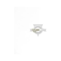 Briggs & Stratton 782967MA 5/16-18 X .88 Screw 