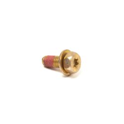 Briggs & Stratton 793567 Screw/Washer Kit 