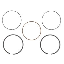 Briggs & Stratton 794126 Ring Set 