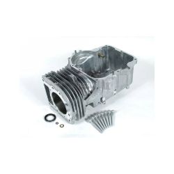 Briggs & Stratton 796010 Cylinder Assembly 