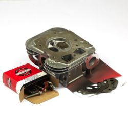 Briggs & Stratton 84001919 Cylinder Head 