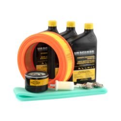 Briggs & Stratton 84004936 Maintenance Kit - BRS 84004936