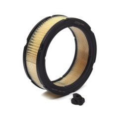 Briggs & Stratton 841359 Air Filter 