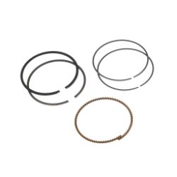 Briggs & Stratton 843806 Ring Set 