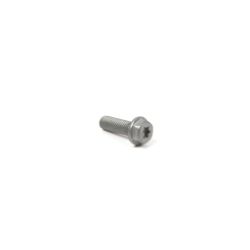 Briggs & Stratton 846149 Screw - BRS 846149