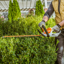 STIHL HSA 40 20" Lightweight Double-Sided Battery-Powered Hedge Trimmer w/ (2) AS2 Batteries & AL101 Charger - STI HSA 40