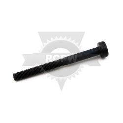 ECHO V805000190 5 X 55 Screw 