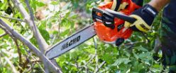 ECHO DCS-2500T-12R1 eFORCE 56V 12" Top Handle Chainsaw Kit w/ 2.5Ah Battery & Rapid Charger - ECH DCS-2500T-12R1