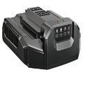 EGO CH2100 56V 210W Standard Battery Charger 