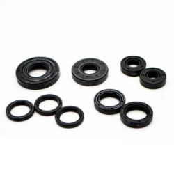 Hydro-Gear 70312 Seal Kit 