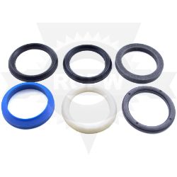 Meyer 07831C ANG Ram Seal Kit 