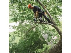 STIHL MS 194 T 14 31.8cc Top-Handle Chainsaw w/ 14" Bar & Chain - STI MS 194 T 14