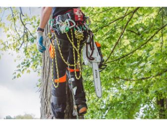 STIHL MS 201 T C-M 35.2cc In-Tree Professional Arborist Top Handle Chainsaw Power Unit (Bar & Chain Not Included) 