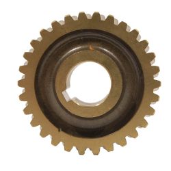 MTD 1901976 Worm Gear - MTD 1901976