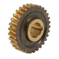 MTD 1901976 Worm Gear - MTD 1901976