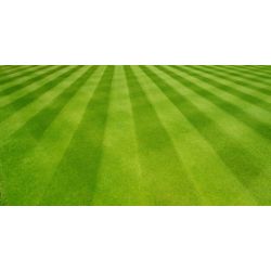 MTD 19A20003OEM 28" Lawn Mower STR - MTD 19A20003OEM