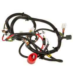 MTD 725P06722A E-PT Main Harness - MTD 725P06722A