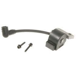 MTD 753-06840 Module 