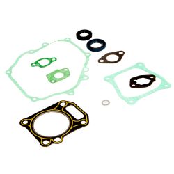 MTD 951-10951A Complete Gasket Kit 