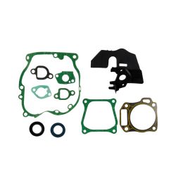 MTD 951-11061A Complete Gasket Kit 
