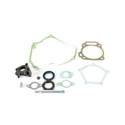 MTD 951-11362 Complete Gasket Kit 