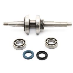 MTD 951-12102 Crankshaft Kit 