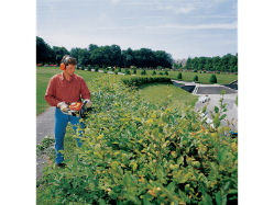 STIHL HS 45 18 27.2cc Gas-Powered 18" Double-Sided Reciprocating Hedge Trimmer - STI HS 45 18