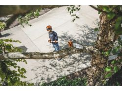 STIHL HTA 135 10 36V 10" Battery-Powered Telescoping Pole Pruner - STI HTA 135 10
