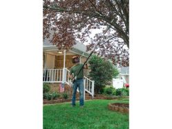 STIHL HTA 50 10 UNIT 10" Battery-Powered Telescoping Pole Pruner (Battery & Charger Not Inlcuded) - STI HTA 50 10 UNIT