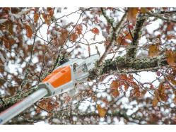 STIHL HTA 50 10 UNIT 10" Battery-Powered Telescoping Pole Pruner (Battery & Charger Not Inlcuded) - STI HTA 50 10 UNIT