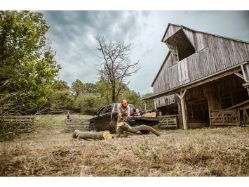 STIHL MS 261 C-M 50.2cc Fuel-Efficient Gas-Powered M-Tronic Chainsaw Power Unit (Bar & Chain Not Included) - STI MS 261 C-M