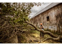 STIHL MS 362 20 59.0cc 20" Fuel-Efficient Low-Emission Gas-Powered Chainsaw w/Bar & Chain - STI MS 362 20