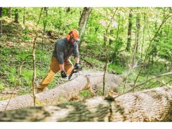 STIHL MS 391 25 64.1cc 25" Fuel-Efficient Low-Emission Gas-Powered Chainsaw w/Bar & Chain - STI MS 391 25