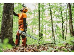 STIHL MS 462 C-M 25 72.2cc 25" 13 Lbs Fuel-Efficient Gas-Powered M-Tronic C-M Chainsaw w/Bar & Chain - STI MS 462 C-M 25