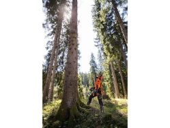 STIHL MS 462 C-M 72.2cc 13 Lbs Fuel-Efficient Gas-Powered M-Tronic C-M Chainsaw (Bar & Chain Not Included) - STI MS 462 C-M
