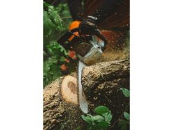 STIHL MS 462 C-M 72.2cc 13 Lbs Fuel-Efficient Gas-Powered M-Tronic C-M Chainsaw (Bar & Chain Not Included) - STI MS 462 C-M