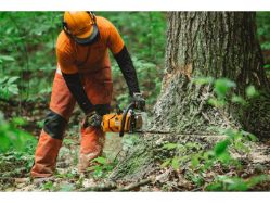 STIHL MS 500I LIGHT 28 79.2cc 28" Gas-Powered Rapid Acceleration Chainsaw w/Lightweight Bar & Chain - STI MS 500I LIGHT 28