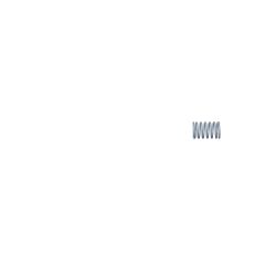 Toro 120-4305 Valve Spring - TOR 120-4305
